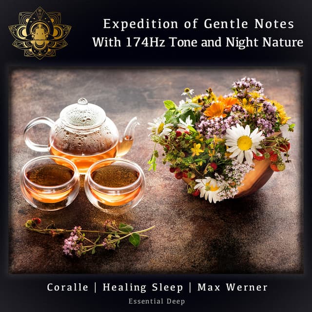 Expedition Of Gentle Notes With 174Hz Tone And Night Nature - Coralle