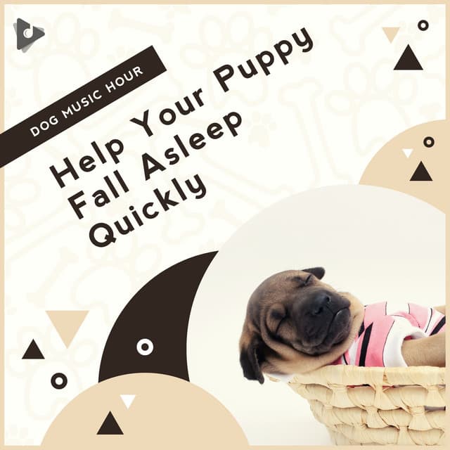 Help Your Puppy Fall Asleep Quickly - Dog Music Hour