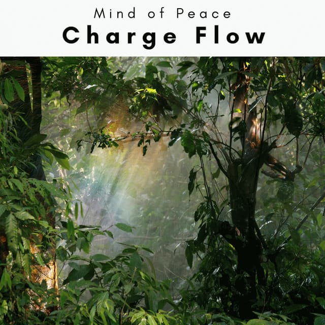 4 Rel: Charge Flow - Mind of Peace