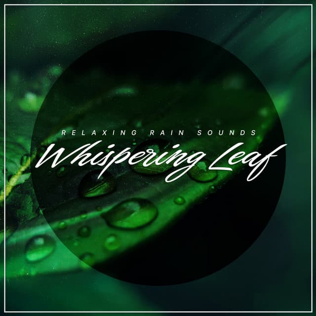 Whispering Leaf - Relaxing Rain Sounds