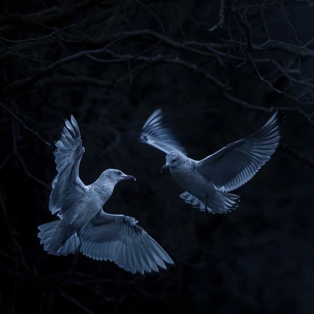 Binaural Baby Calm: Birds Singing for Soothing - Natural Perspectives