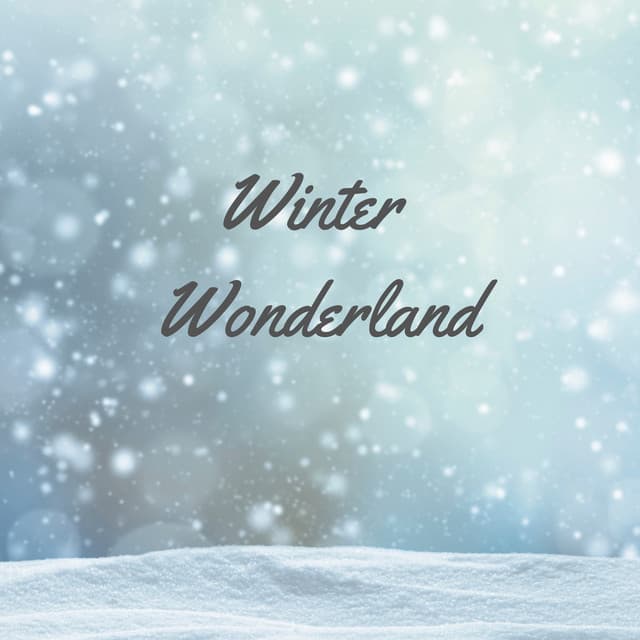 Winter Wonderland - The Noise Project