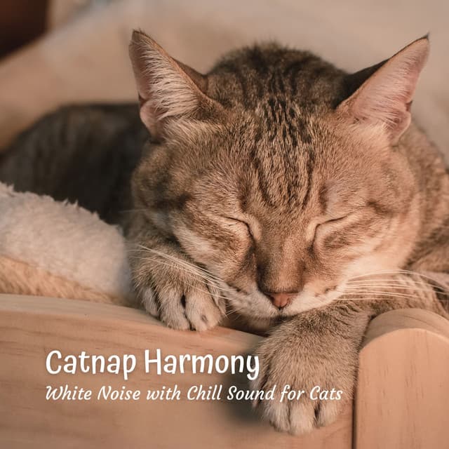 Catnap Harmony: White Noise with Chill Sound for Cats - The White Noise Travelers