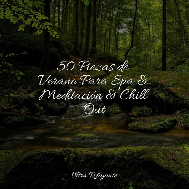 50 Piezas de Verano Para Spa & Meditación & Chill Out - Música para Relaxar Maestro