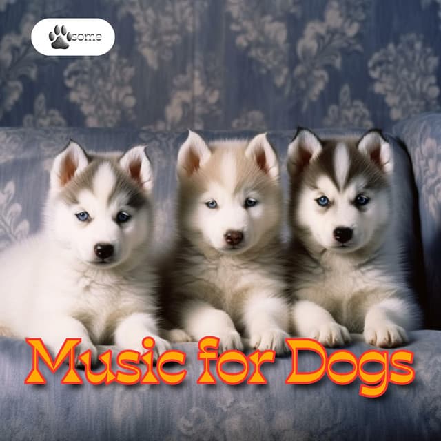 Music for Dogs - PAWsome