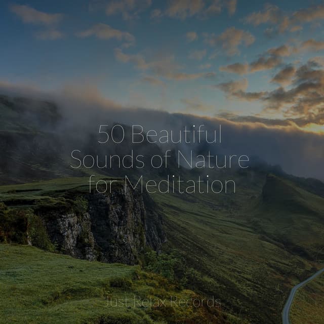 50 Beautiful Sounds of Nature for Meditation - Yoga Sounds