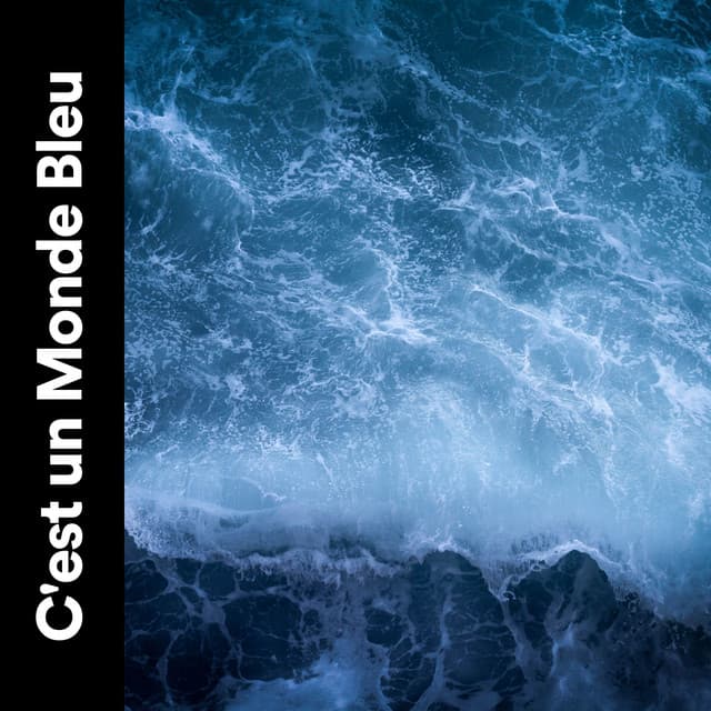 C'est un Monde Bleu - Vagues Dans La Mer