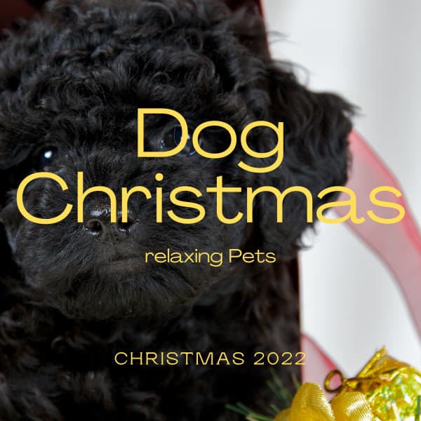 1 Dog Christmas - Sounds Dogs Love