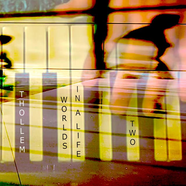 Worlds in a Life, Two - Thollem Mcdonas