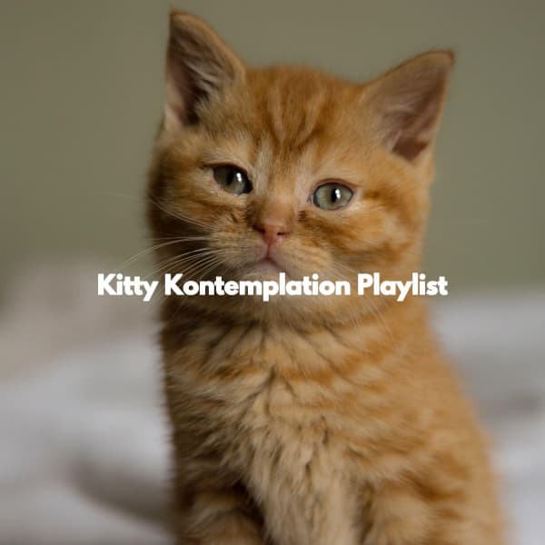 Kitty Kontemplation Playlist - Shopping Music