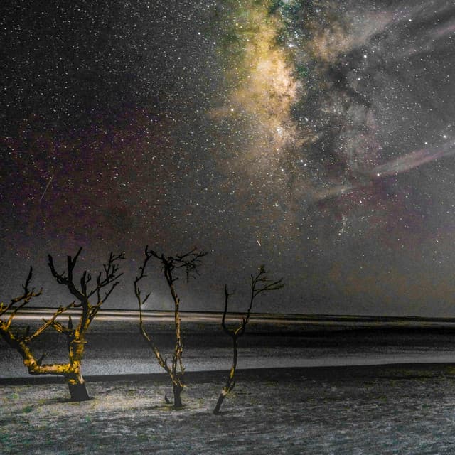 12 Hours: The Whispering Hiss - White Noise Therapy