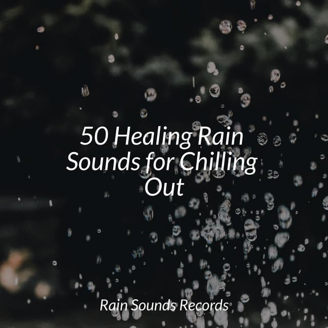 50 Healing Rain Sounds for Chilling Out - Cascada de Lluvia