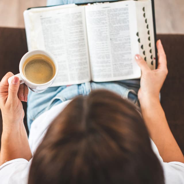 Serene Sounds for Quiet Study Hours - Lofi Study