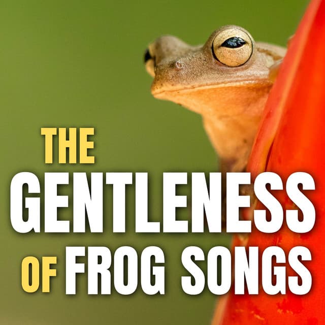 The Gentleness of Frog Songs - Frog Sounds