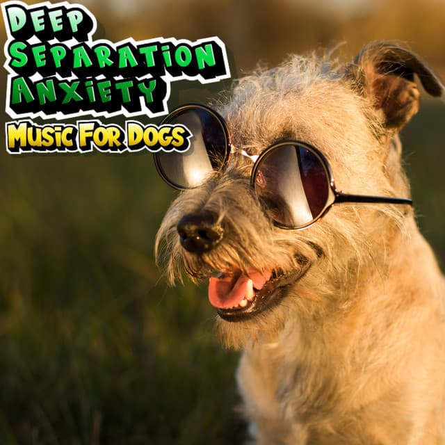 Music For Dog Relaxation & Stress Relief - Deep Separation Anxiety Music For Dogs