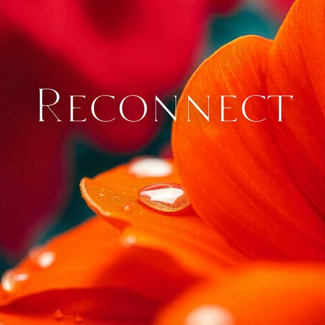 Reconnect: Healing Through Nature - Natures Orchestra