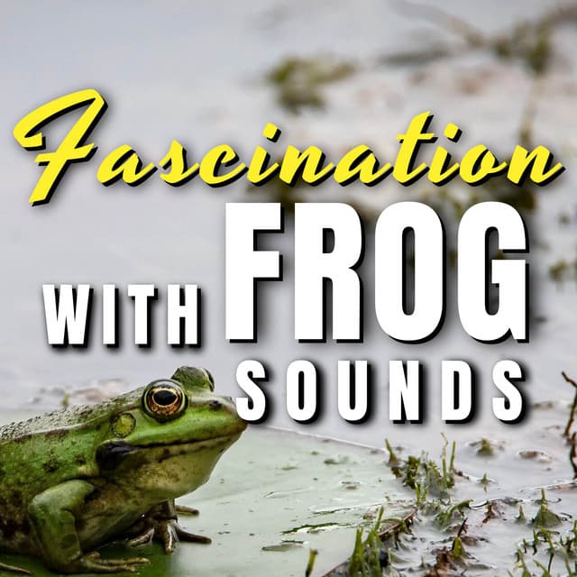Fascination with Frog Sounds - Frog Sounds