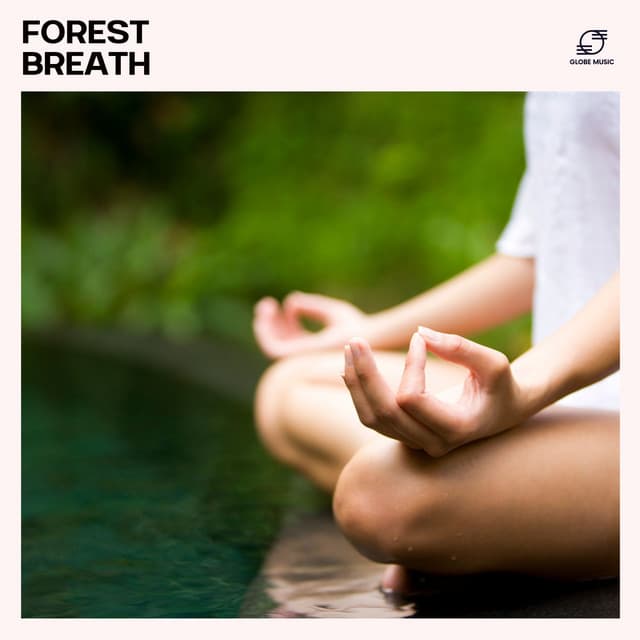 Forest Breath - Zen Meditation Orchestra