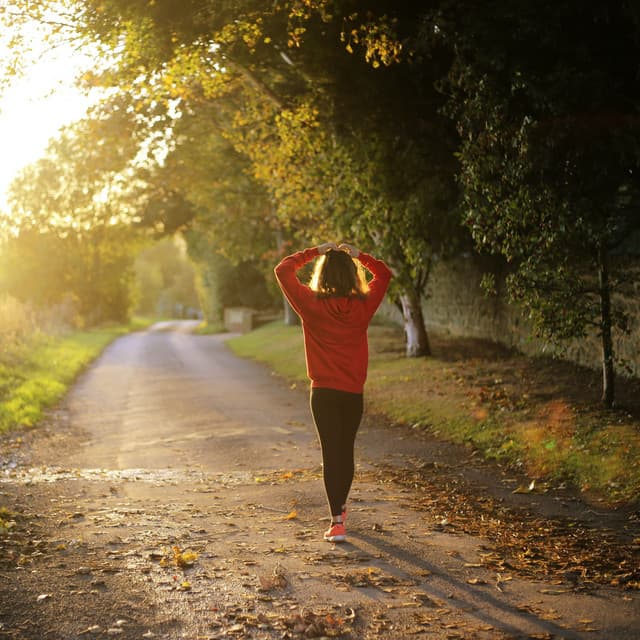 Melodic Lofi Pathways: Journeying Through Calm Soundscapes - Aesthetic Music