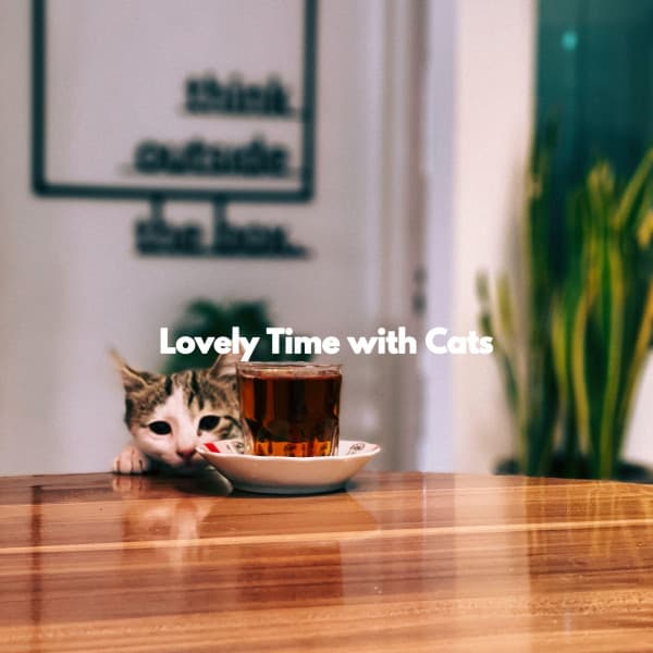 Lovely Time with Cats - Elevator Jazz Music