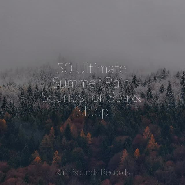 50 Ultimate Summer Rain Sounds for Spa & Sleep - Meeresrauschen