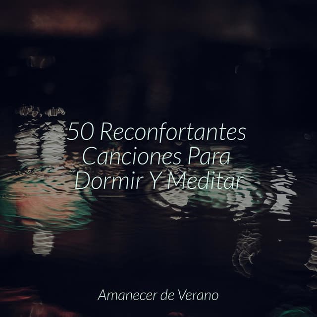 50 Reconfortantes Canciones Para Dormir Y Meditar - Musica Romantica Ensemble