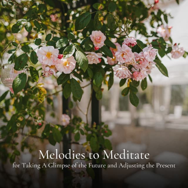 Melodies to Meditate for Taking A Glimpse of the Future and Adjusting the Present - Relax Radio 1