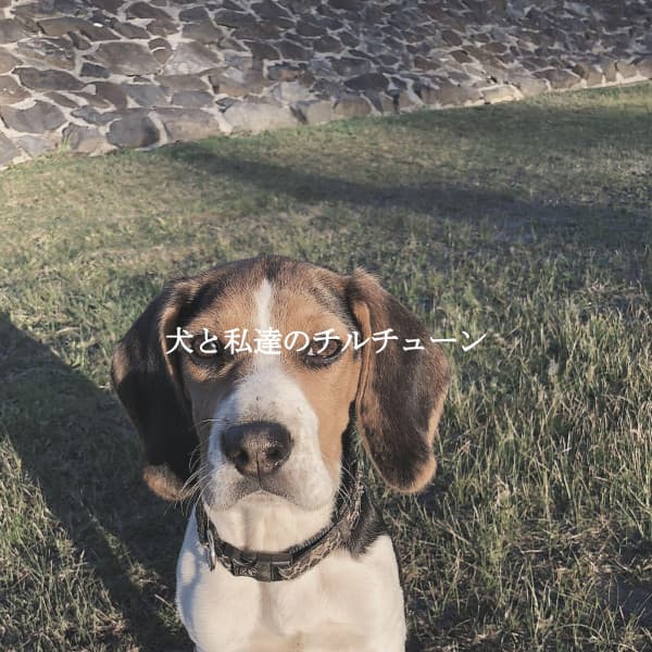 犬と私達のチルチューン - Deluxe Cafe Jazz