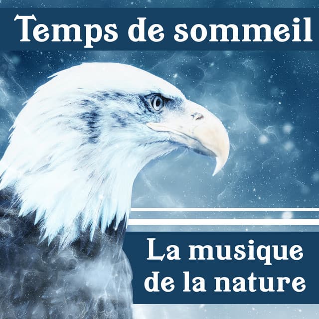 Temps de sommeil: La musique de la nature - Académie de nuit calme