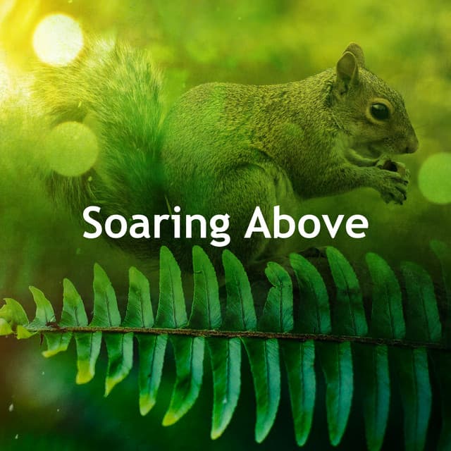 Soaring Above - Nature Radiance