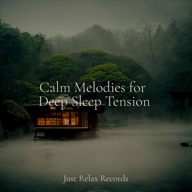 Calm Melodies for Deep Sleep Tension - Sleepy Night Music
