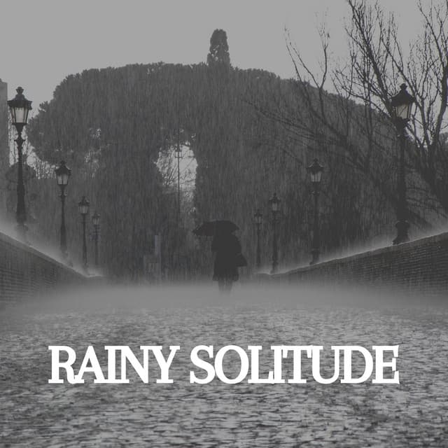 Rainy Solitude - Rainfall Place