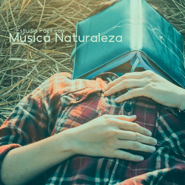 Estudio Fácil con Música Naturaleza - Academia de Música para Estudiar Fácilmente