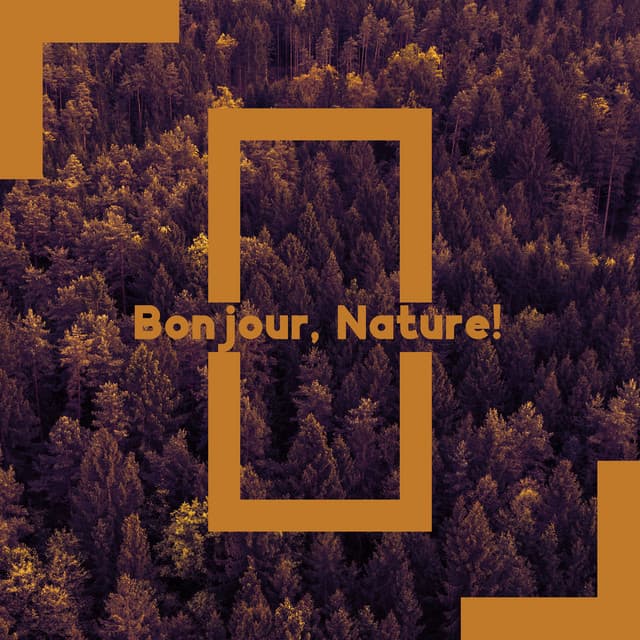 Bonjour, Nature! Musique stimulante et énergisante pour toute la journée - Zen Matin Groupe