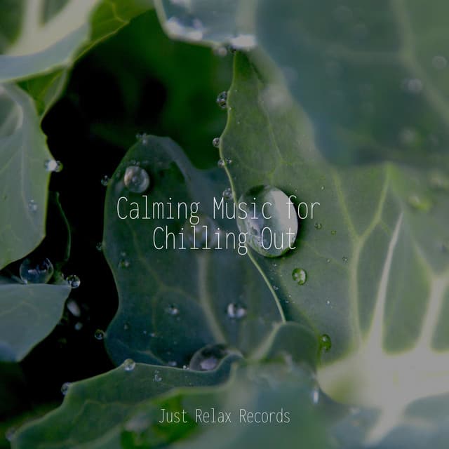 Calming Music for Chilling Out - Relaxing Mindfulness Meditation Relaxation Maestro