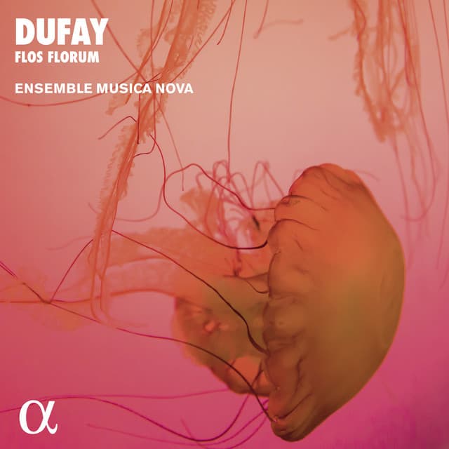 Dufay: Flos Florum - Guillaume Dufay