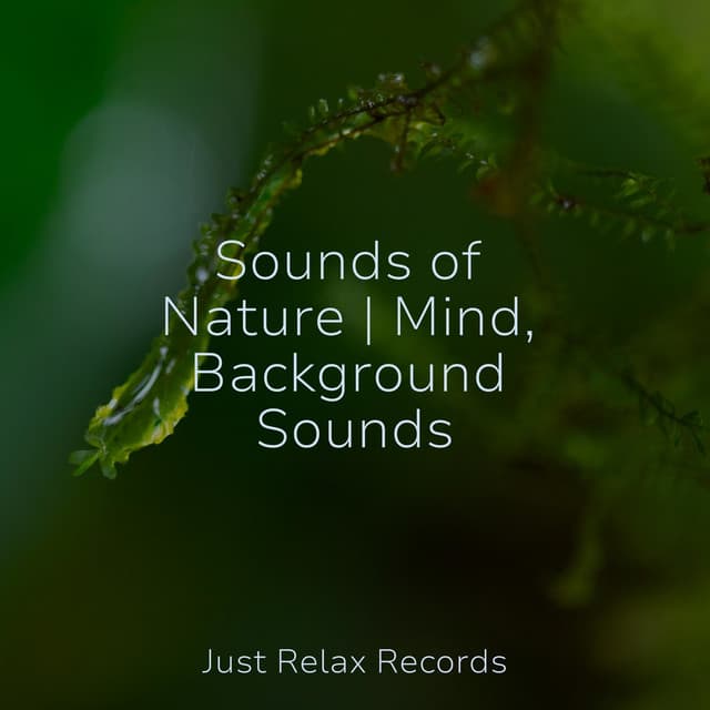 Sounds of Nature | Mind, Background Sounds - Massage Therapy Music