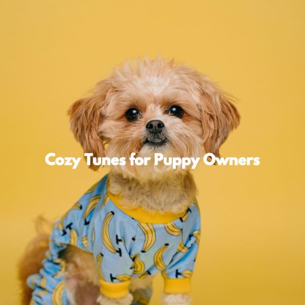 Cozy Tunes for Puppy Owners - Coffeeshop Smooth Jazz Playlist Classics