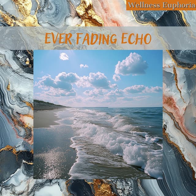 Ever Fading Echo - Wellness Euphoria