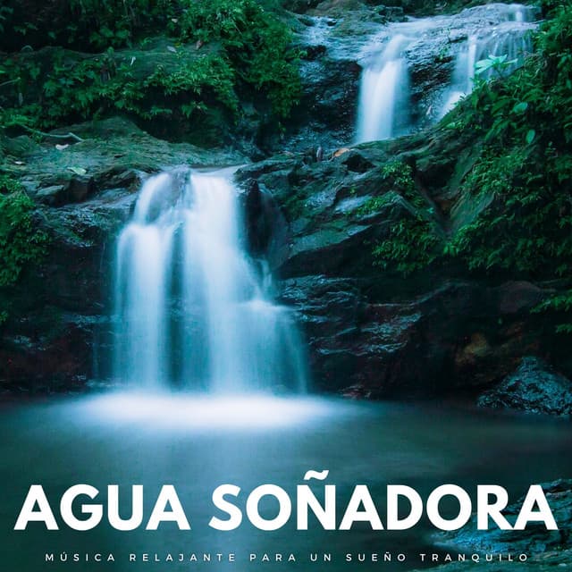 Agua Soñadora: Música Relajante Para Un Sueño Tranquilo - Los durmientes de agua
