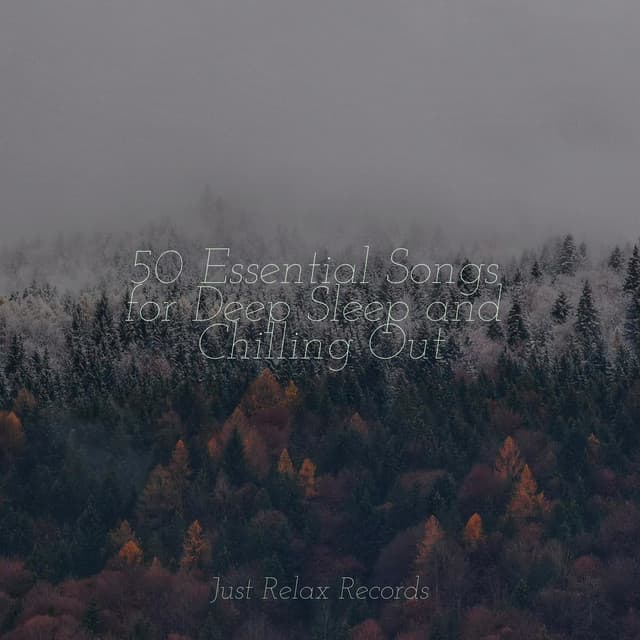 50 Essential Songs for Deep Sleep and Chilling Out - Musica Reiki