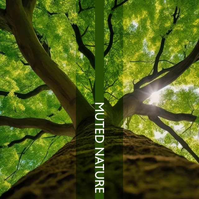 Muted Nature: Relaxation in Quietude - Forest Hills Music Universe