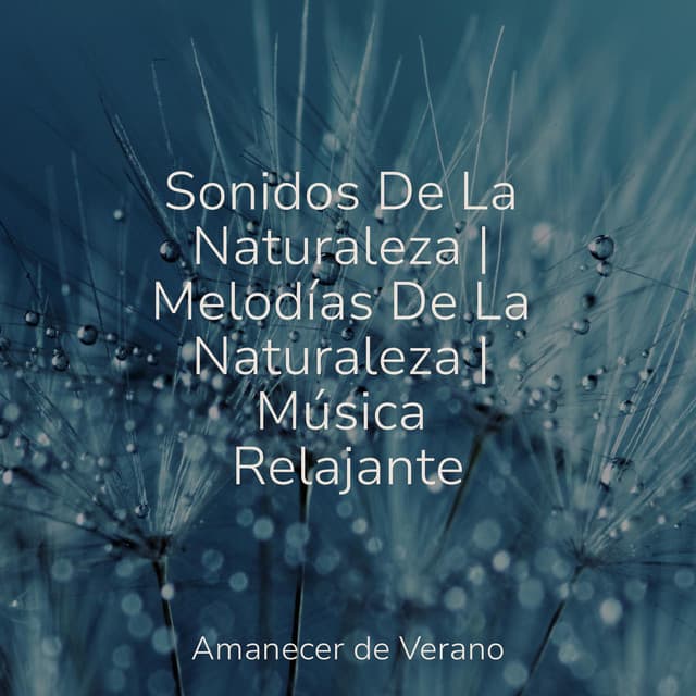Sonidos De La Naturaleza | Melodías De La Naturaleza | Música Relajante - Musica Para Estudiar Academy