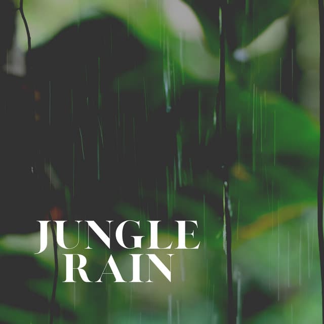 Jungle Rain - Rainy Dreaming