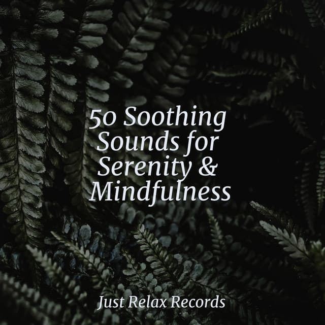 50 Soothing Sounds for Serenity & Mindfulness - Exam Study Classical Music