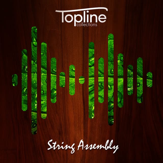 Topline Collections: String Assembly - Dave Cooke