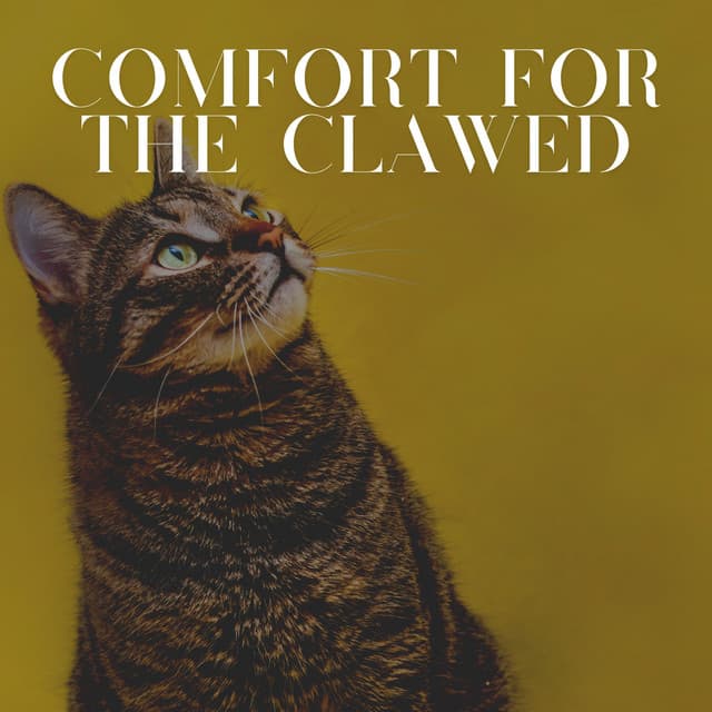 Comfort for the Clawed - Music for Cats Peace