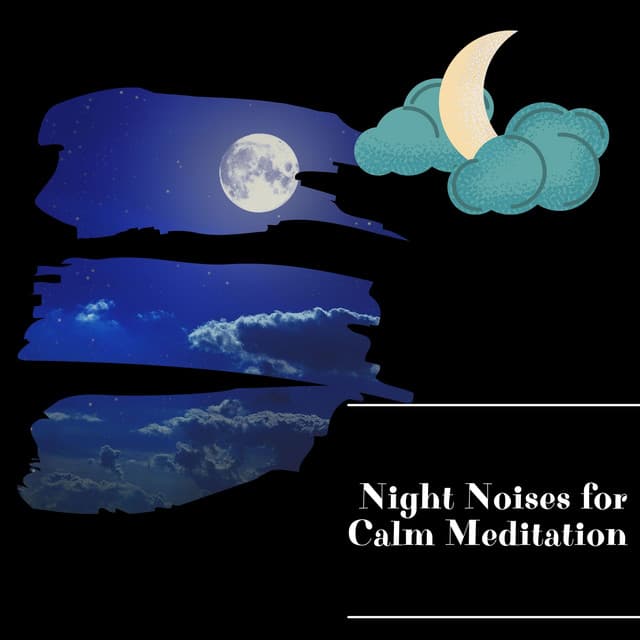 Night Noises for Calm Meditation - Night Nature Sounds