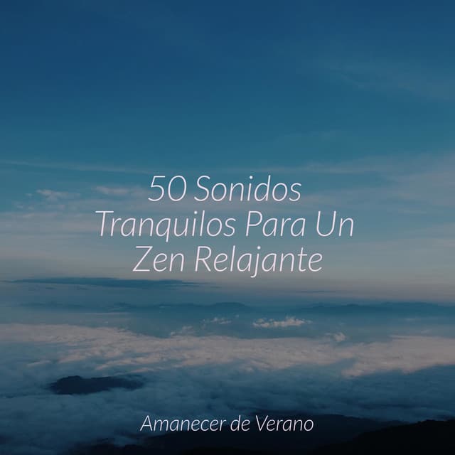 50 Sonidos Tranquilos Para Un Zen Relajante - Meditar Profundamente