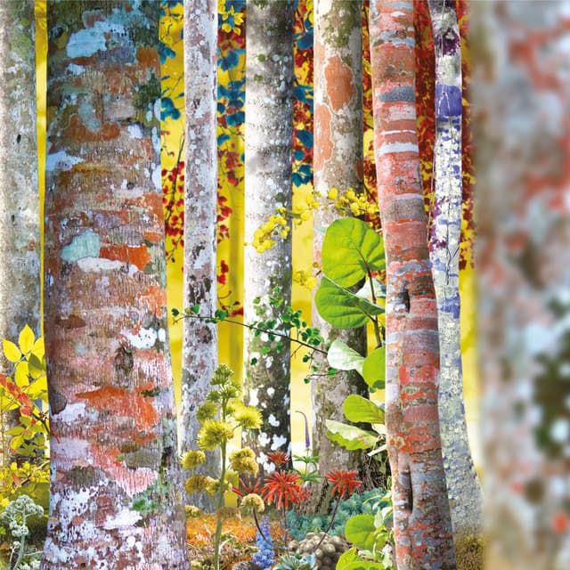 Do You Know Me Now? – The Samadhisound Box Set - David Sylvian